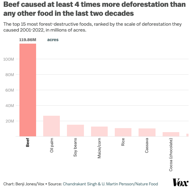 Elliot Swartz tweet media