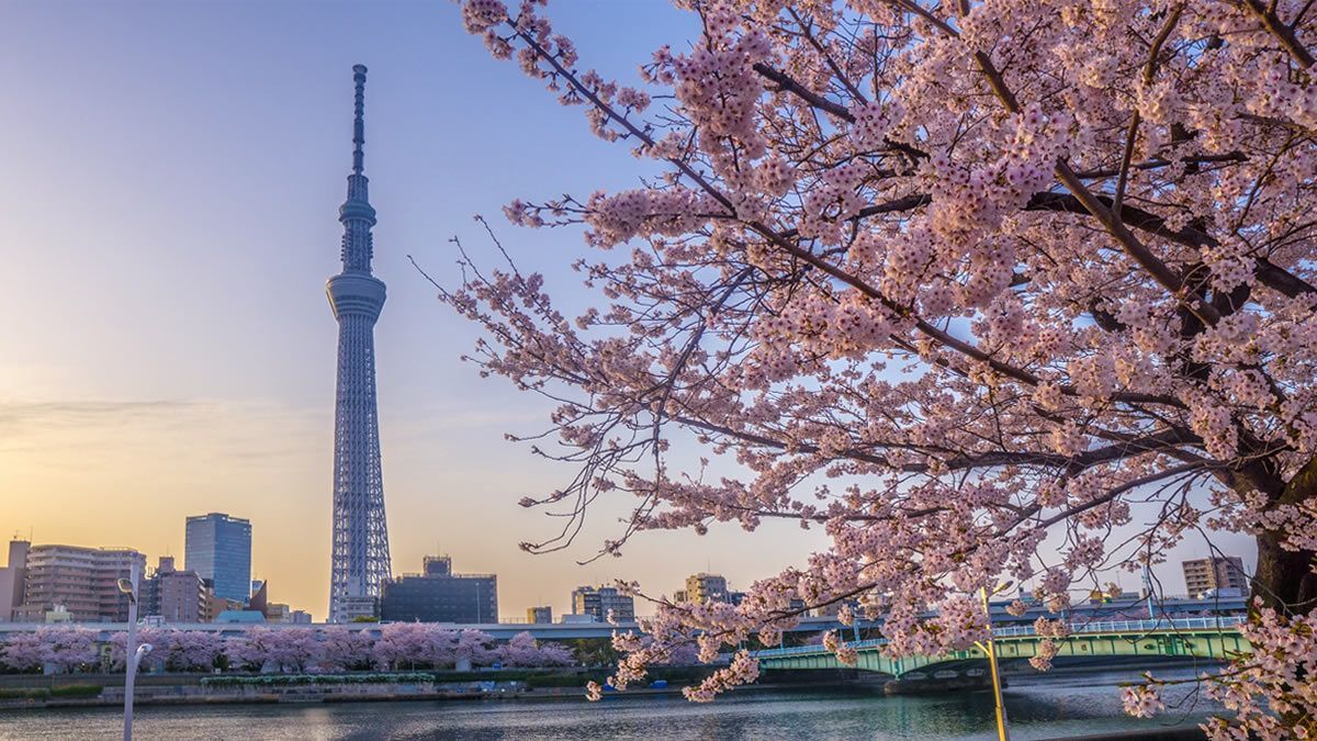 イベントチェッカー製作委員会 tweet media