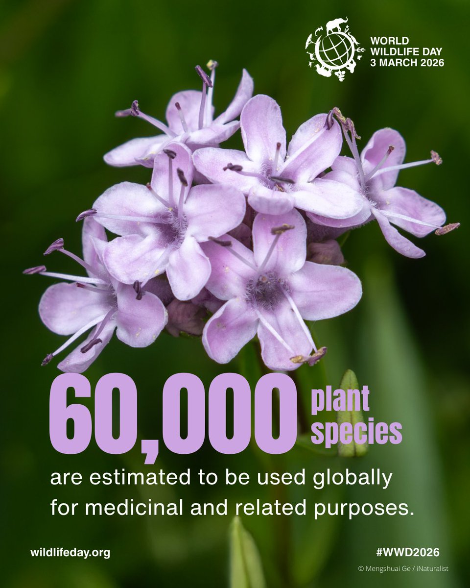 UN Environment Programme tweet media