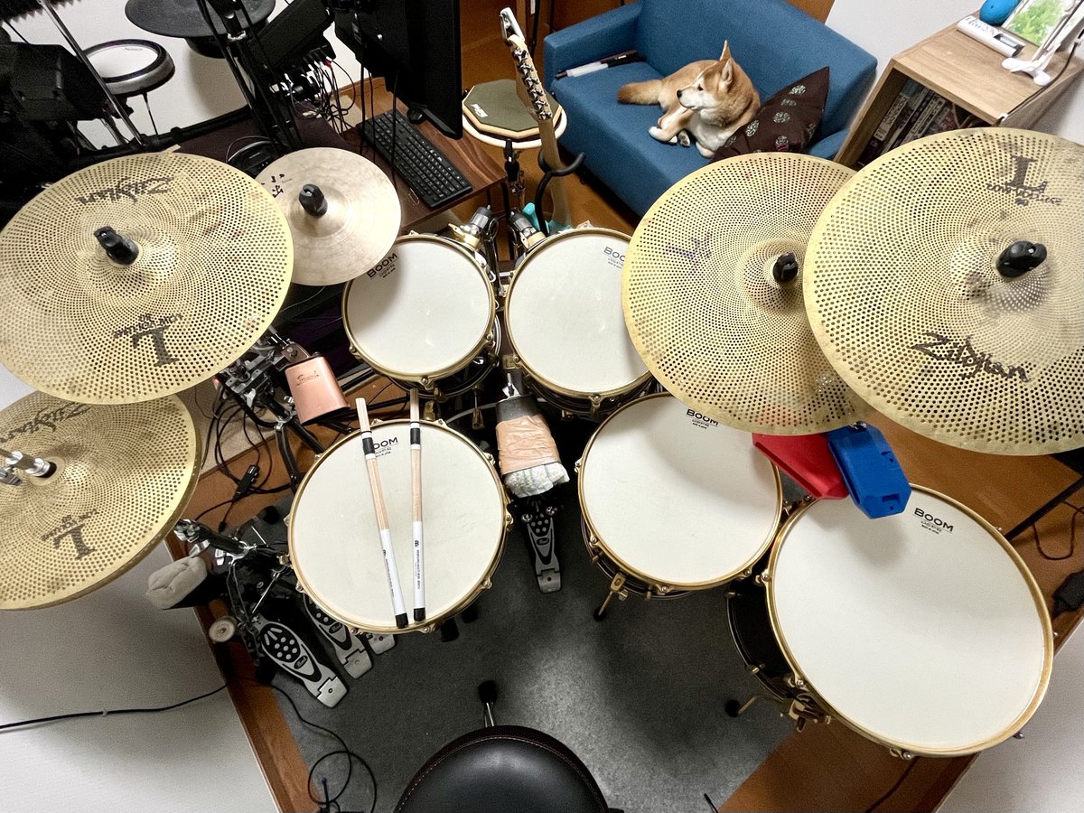 ドラマー専門整体師 原浩之 tweet media