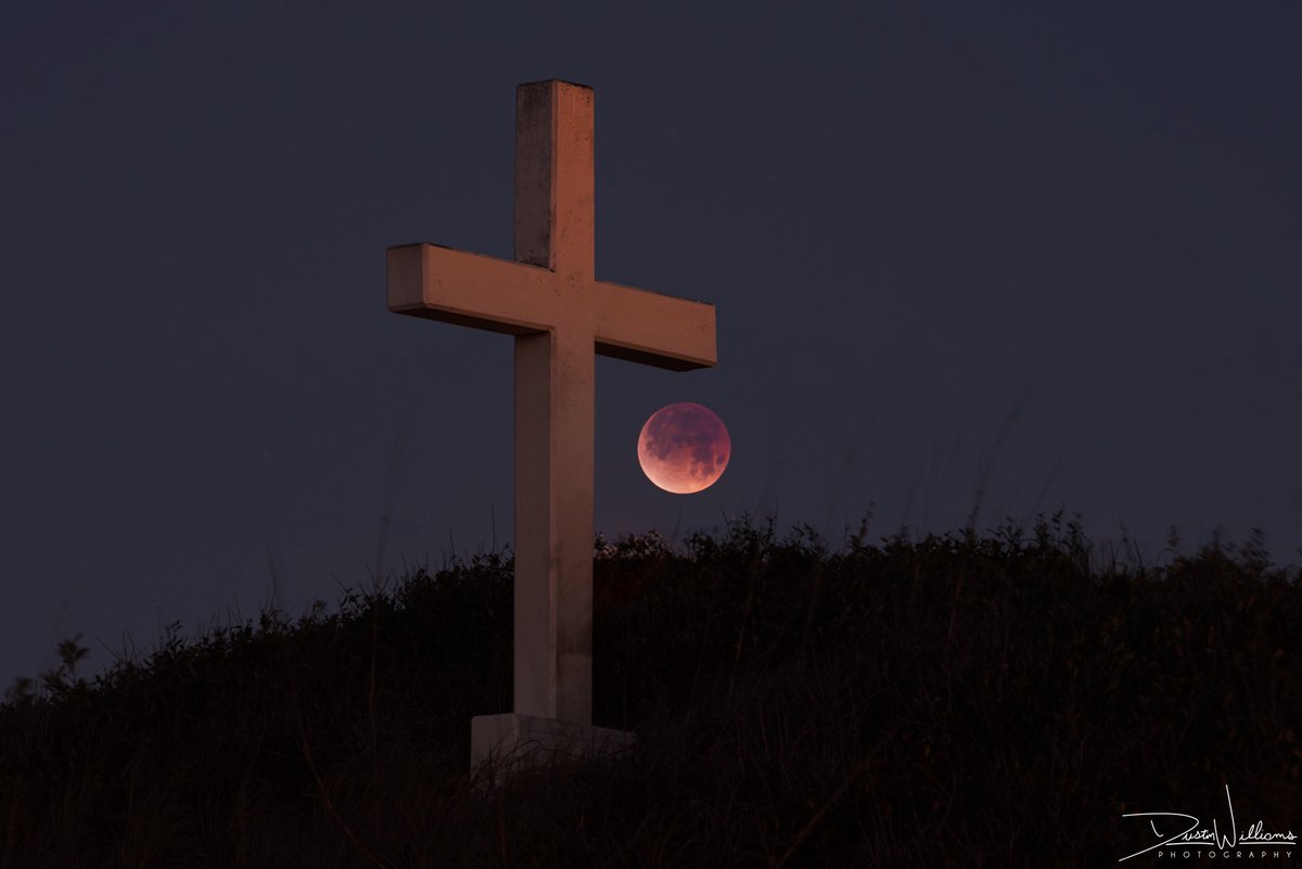 Dustin Williams tweet media