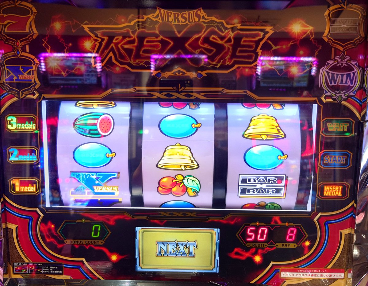 バーサスリヴァイズ