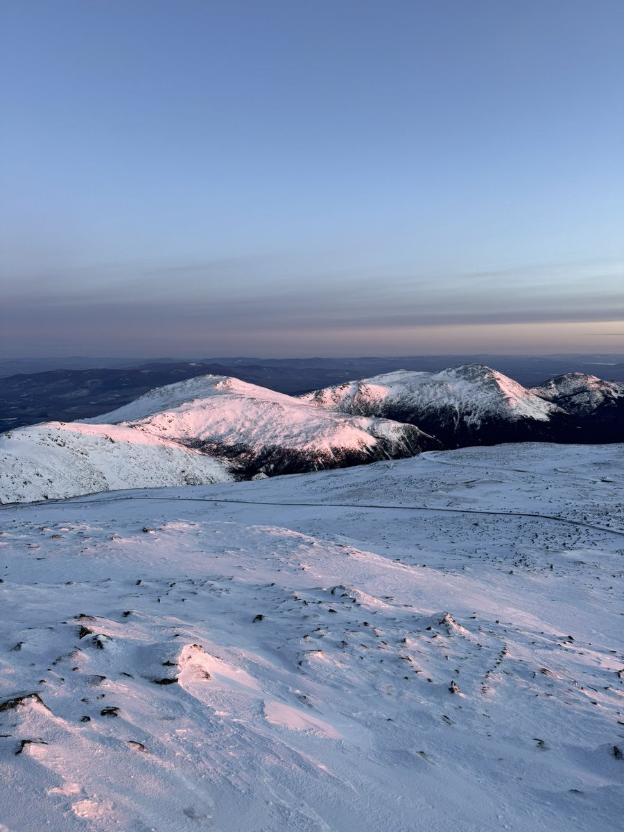 A.J. Mastrangelo tweet media