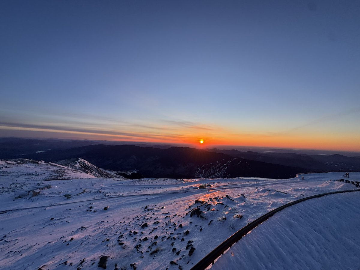 A.J. Mastrangelo tweet media