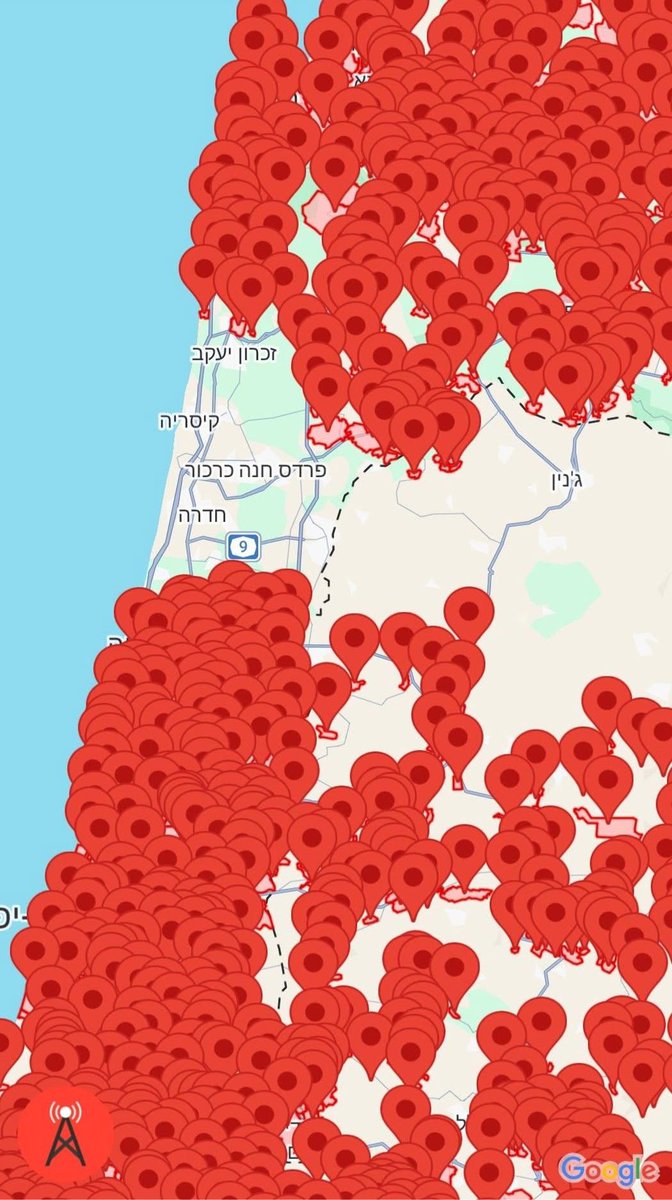 Bar Hofesh tweet media