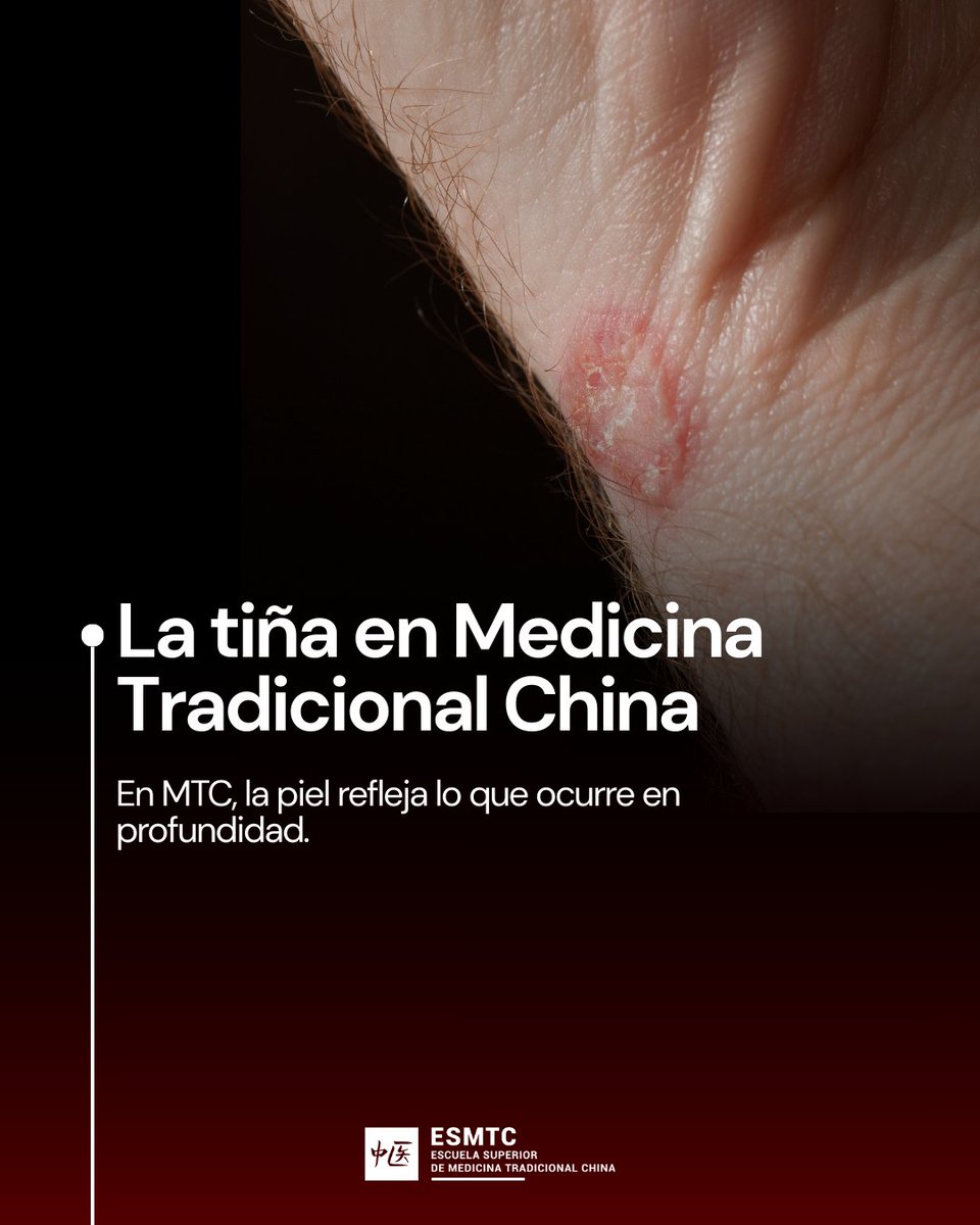 Escuela de MTC tweet media