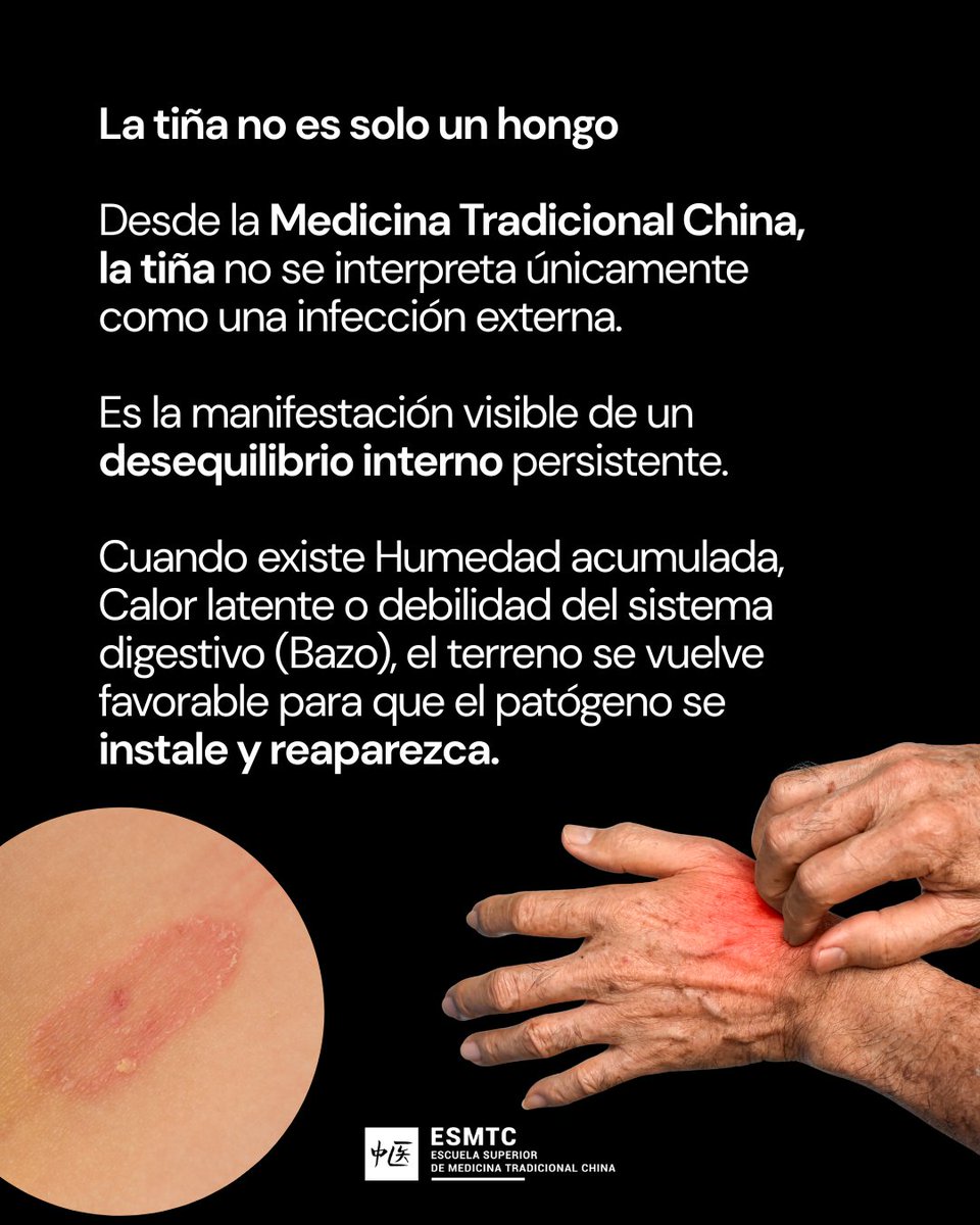 Escuela de MTC tweet media