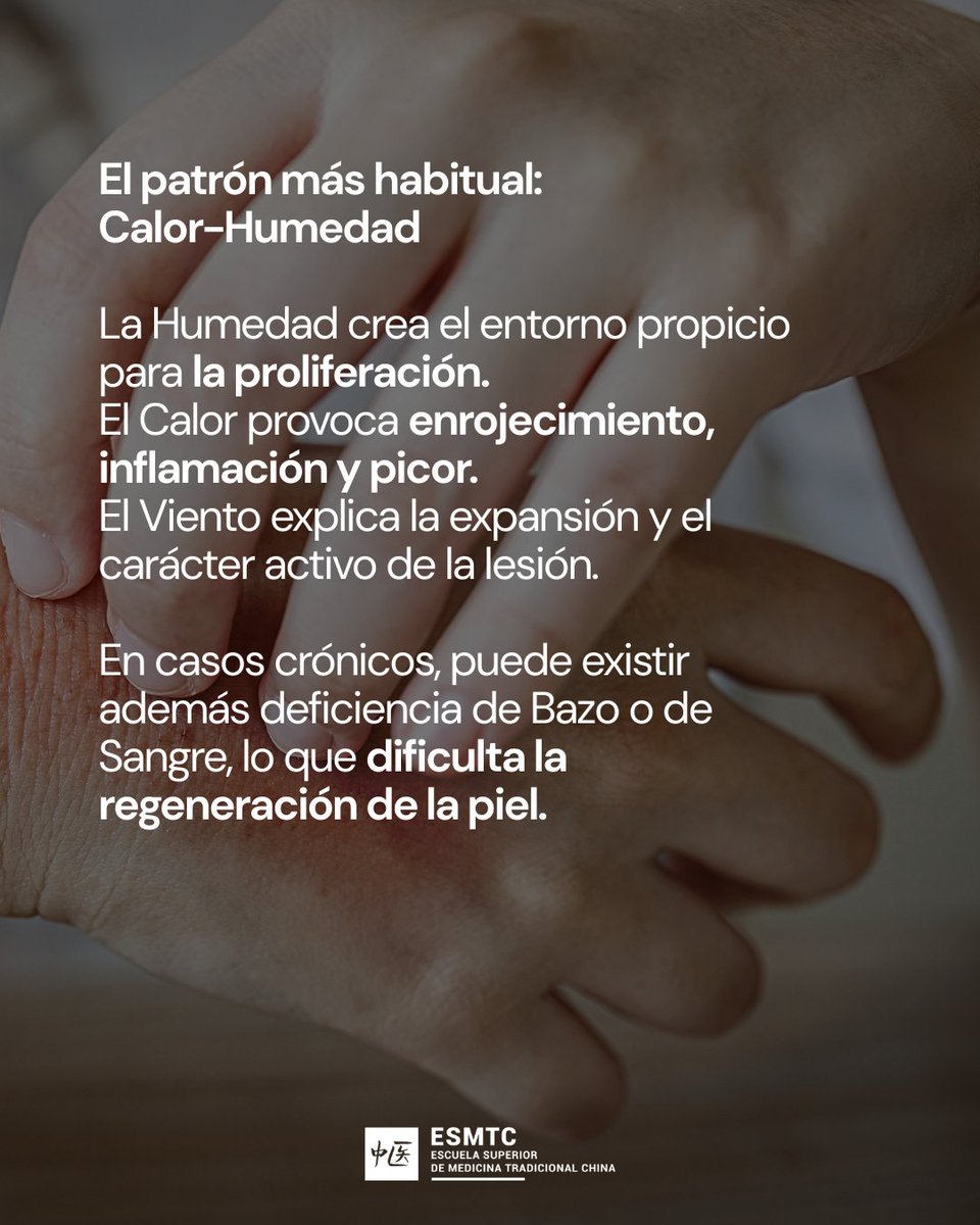 Escuela de MTC tweet media