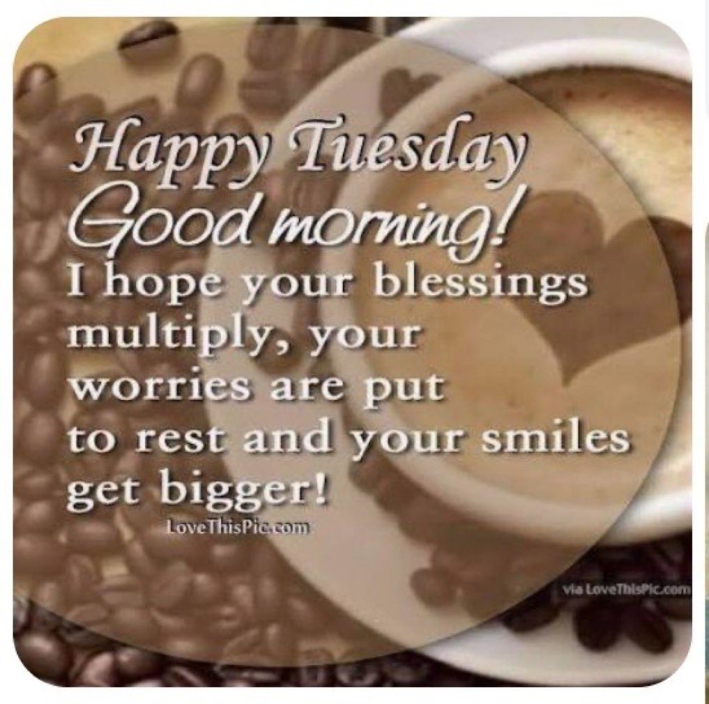 Ed Gonzalez tweet media