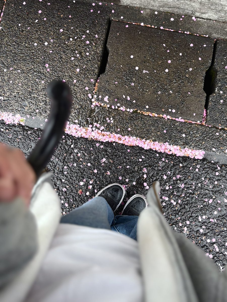 engeki1822's tweet photo. ☔️ https://t.co/akiYk0Sgin