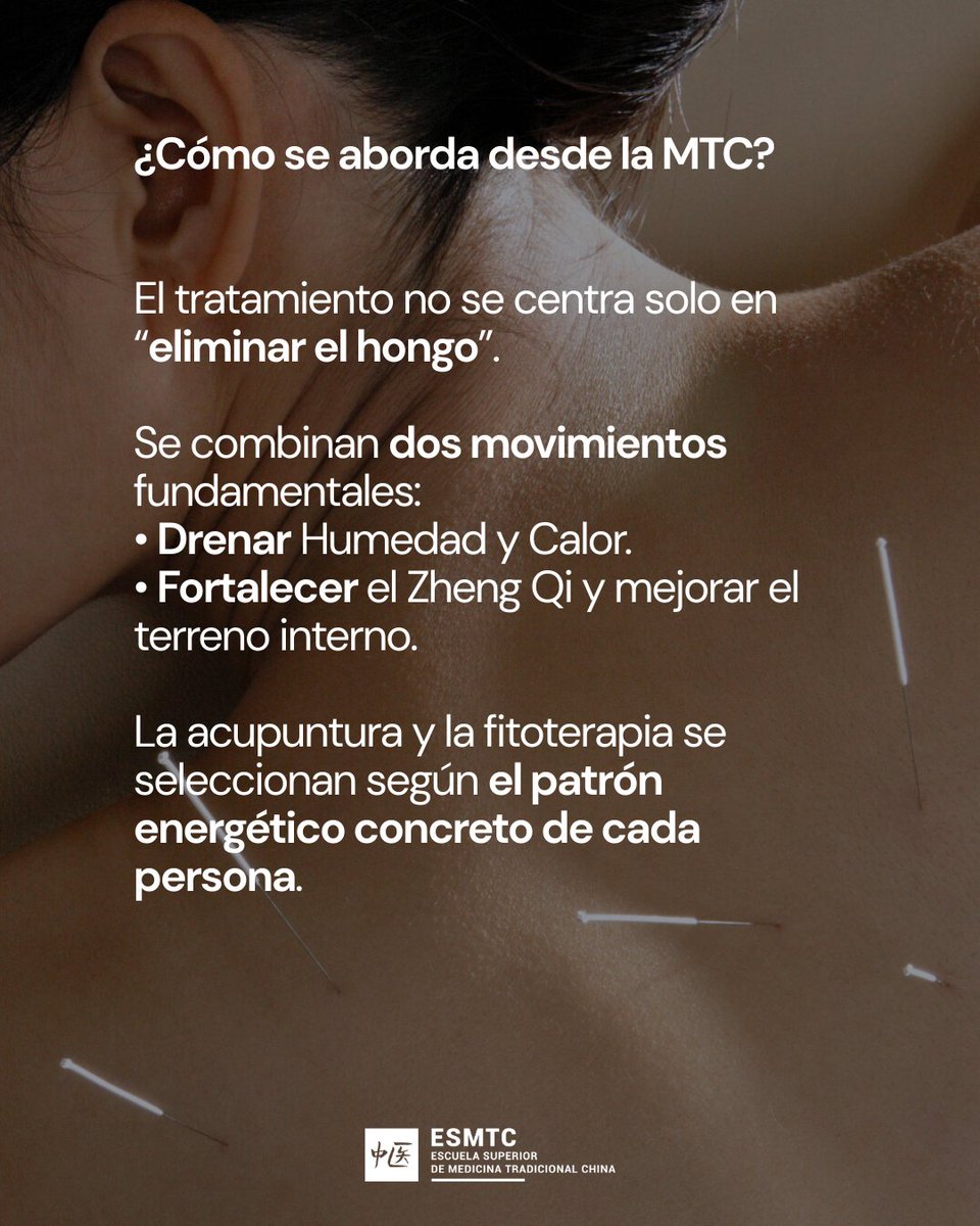 Escuela de MTC tweet media