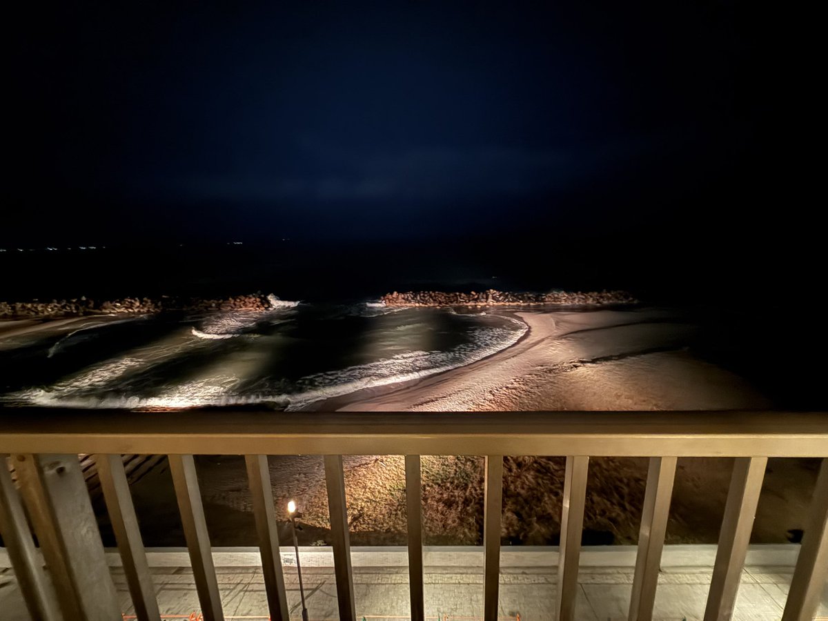 ハニトラ梅木の株用 (@kabuchenko) / Posts / X