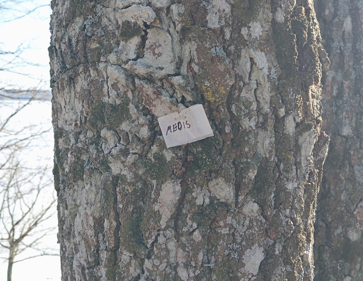 what a convenient label, i wouldn't have known what this thing is otherwise