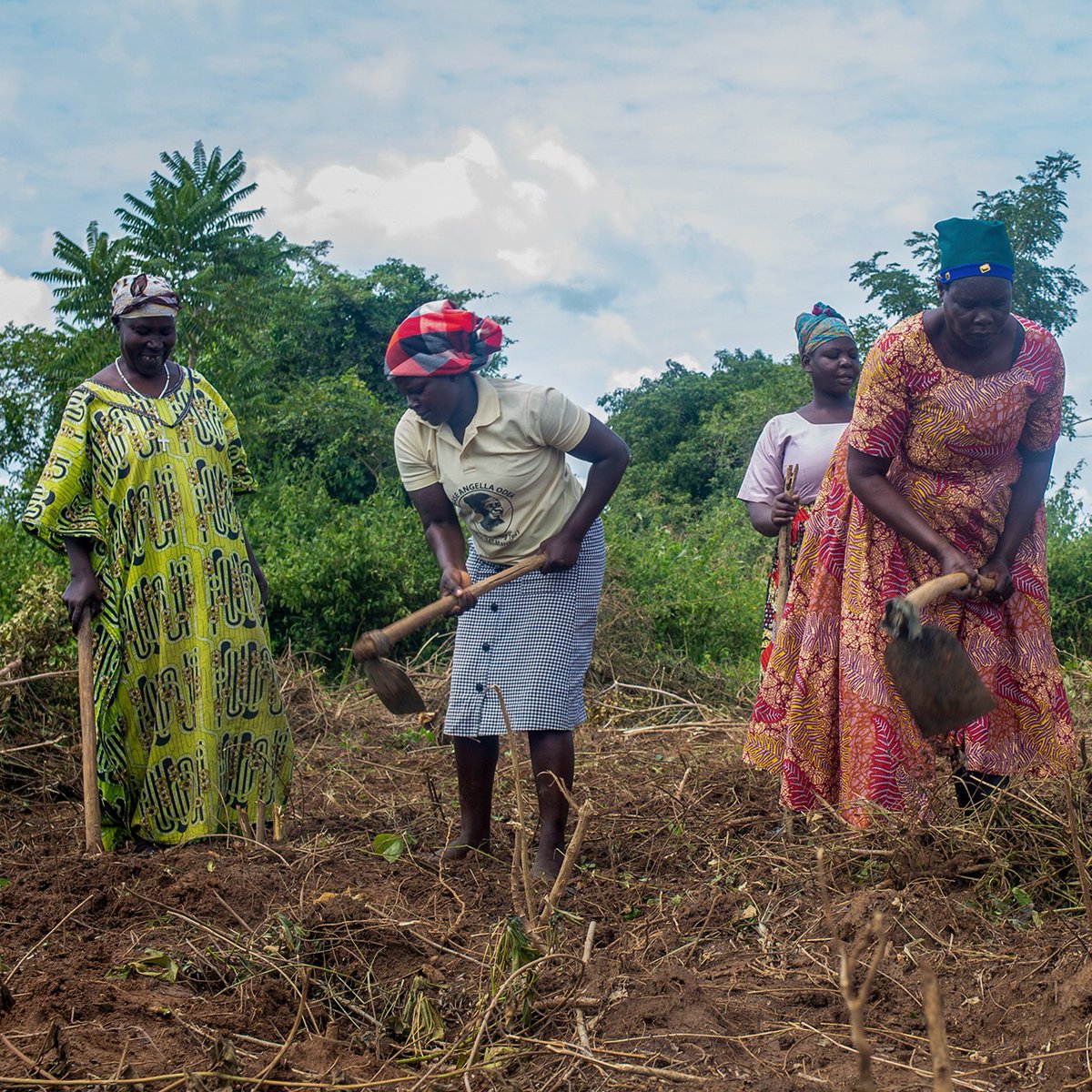 ESAFF Uganda tweet media