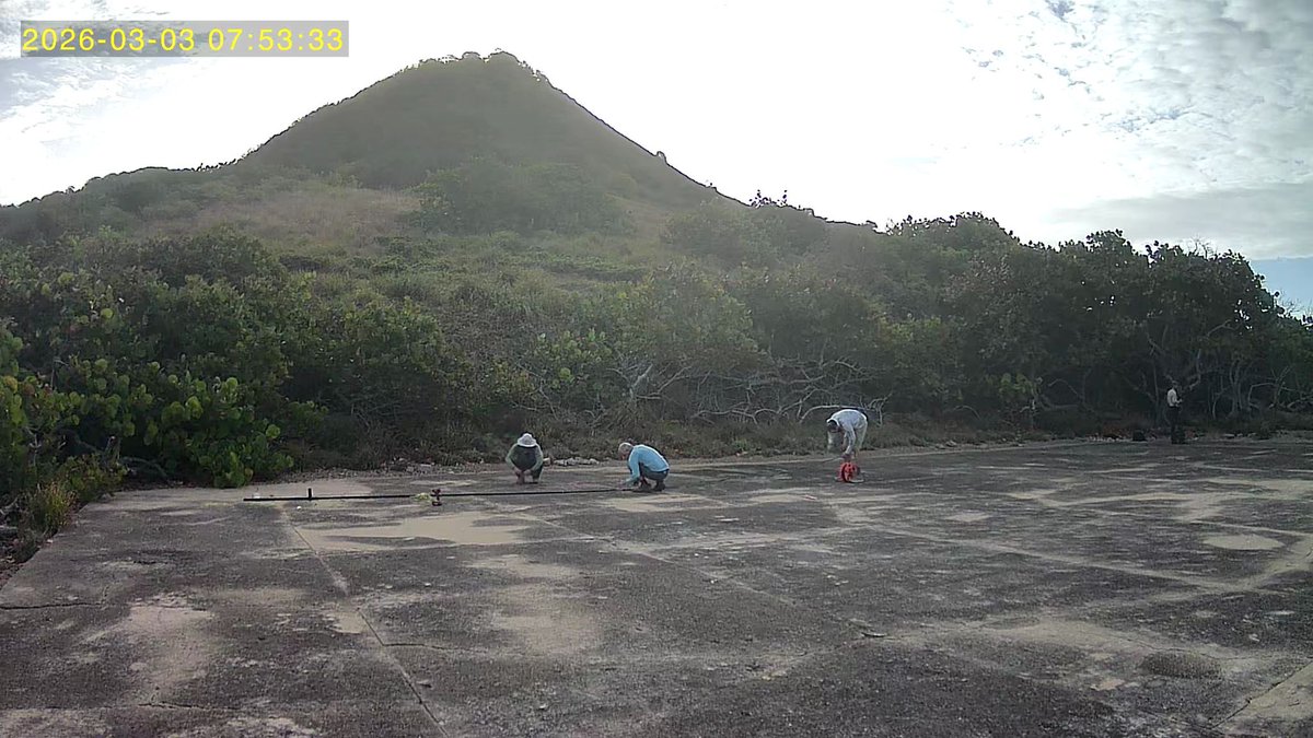 WW2DX (Lee) tweet media