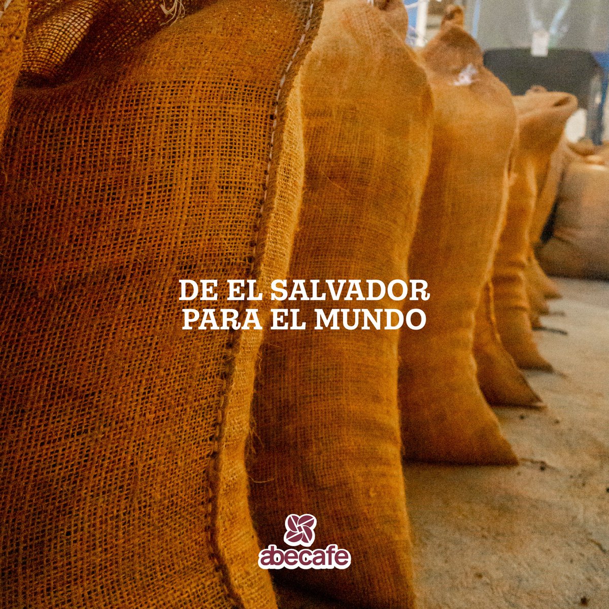 Nuestro café no solo se disfruta aquí: también se exporta 🌎📦
Cada saco que sale representa empleo, desarrollo y el nombre de El Salvador en mercados internacionales. 🇸🇻✨