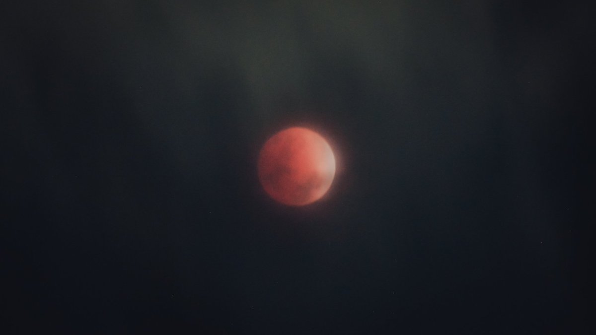 TroastedHam tweet media