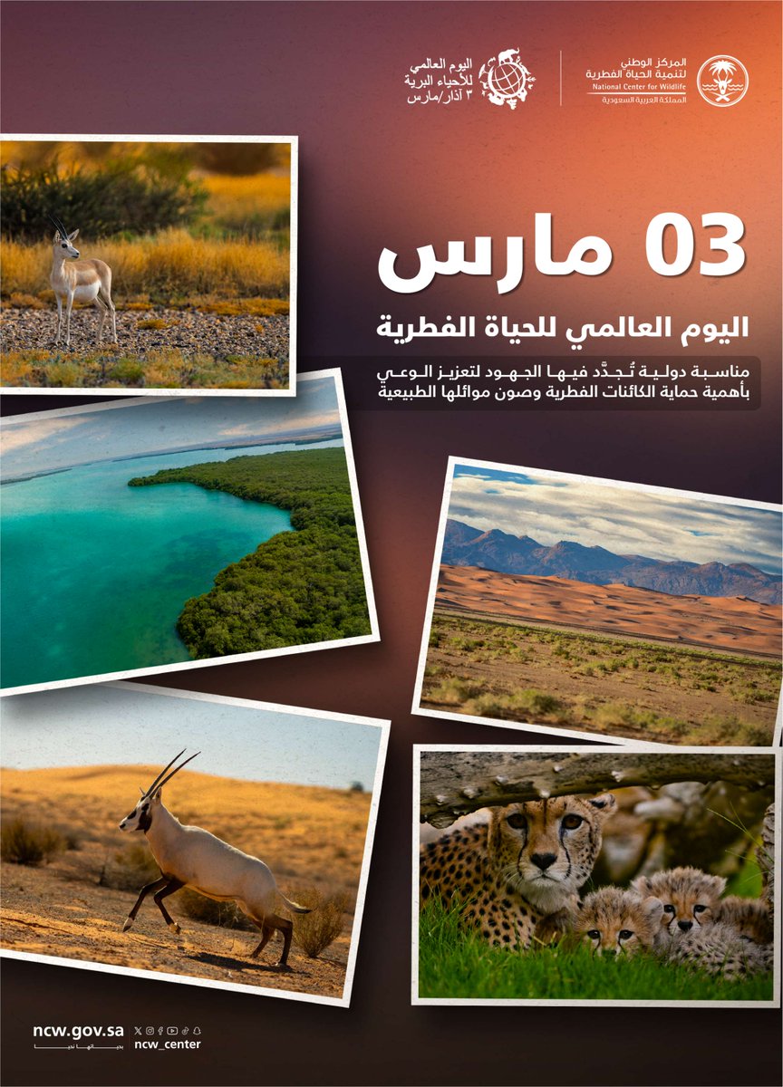 المركز الوطني لتنمية الحياة الفطرية tweet media