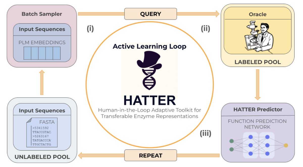 An Active Learning Framework for Data-Efficient, Human-in-the-Loop ...