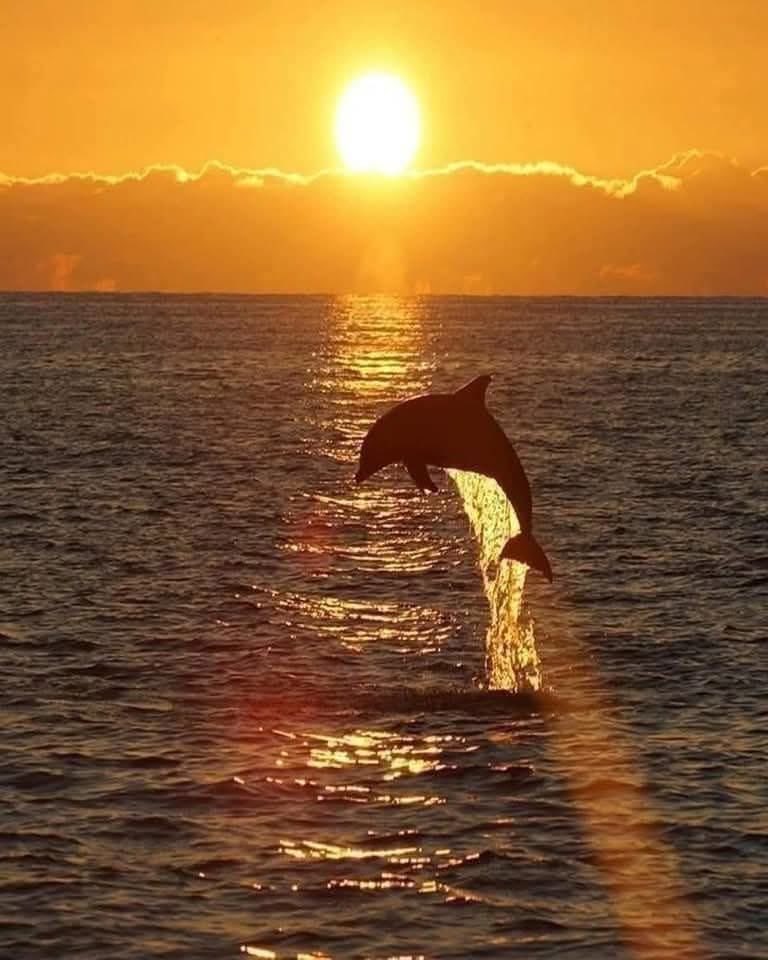 Sabrina Bentley tweet media