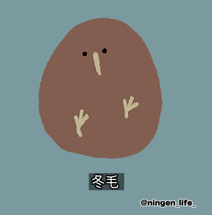 ningen_life_'s tweet photo. 日記　寒すぎる　今日 https://t.co/SaIBrvYffp