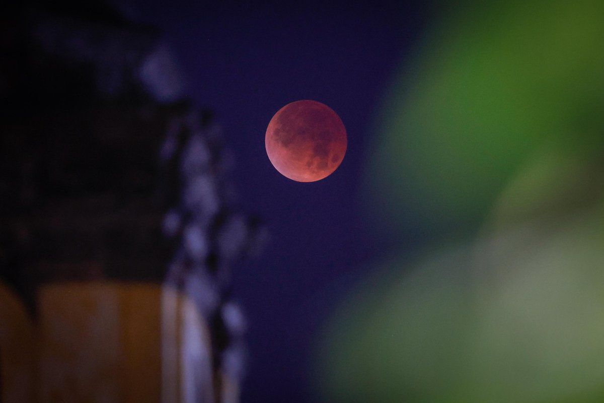 El_Universal_Mx's tweet photo. 🌕 Así se vio la "Luna de sangre" en su punto máximo.

🔴 El eclipse lunar total ocurrido en la madrugada de este martes 3 de marzo pintó al satélite de un tono rojizo que recuerda mucho a la sangre.

👇 Si no lograste verlo, te dejamos con las imágenes de este inolvidable suceso

FOTOS: Diego Simón Sánchez | EL UNIVERSAL
