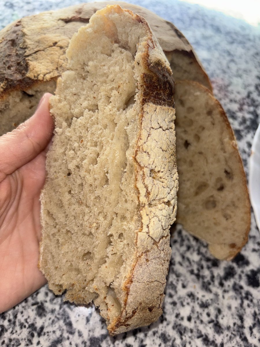 ssayonaaa's tweet photo. Sourdough https://t.co/b30IwyCc4B