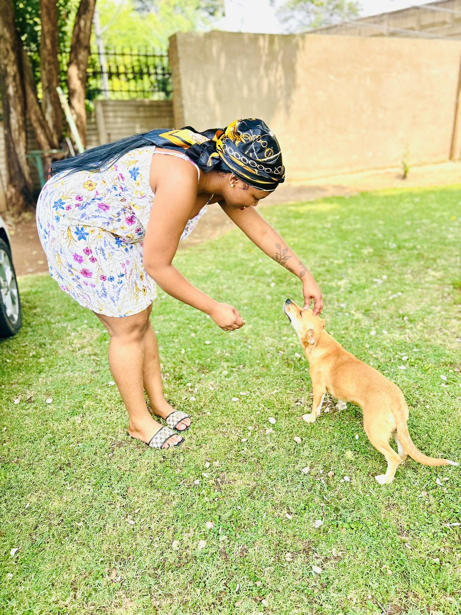 Onkabetse tweet media