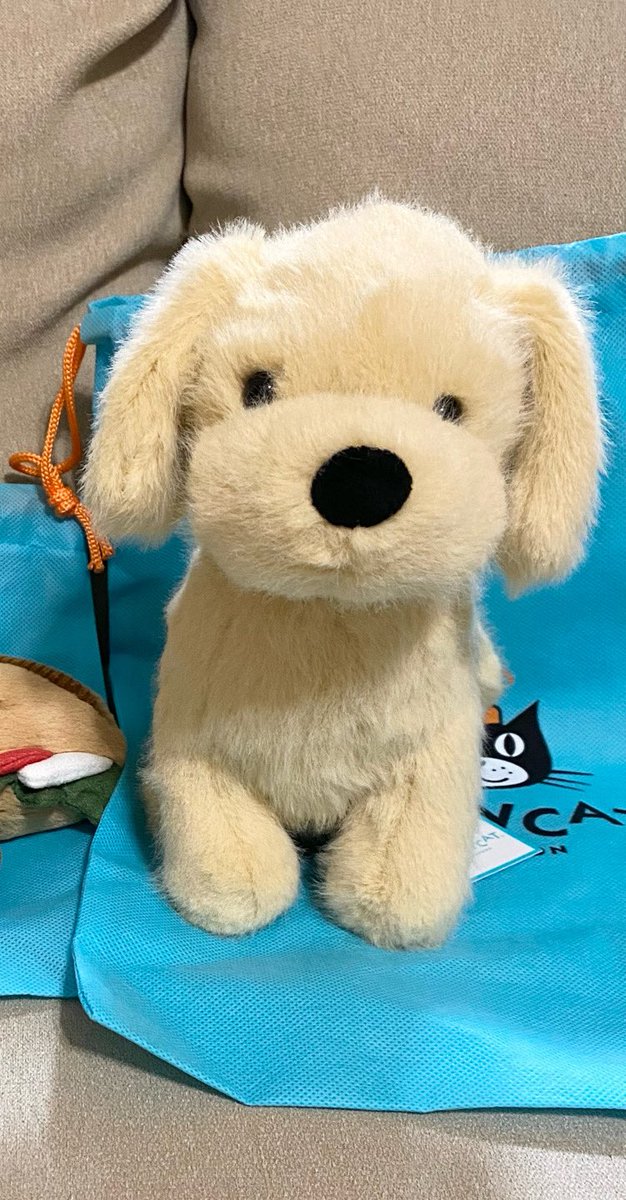 届いたばかりのゴルパピをうちのゴルに狙われる🥹💦 #ジェリーキャット