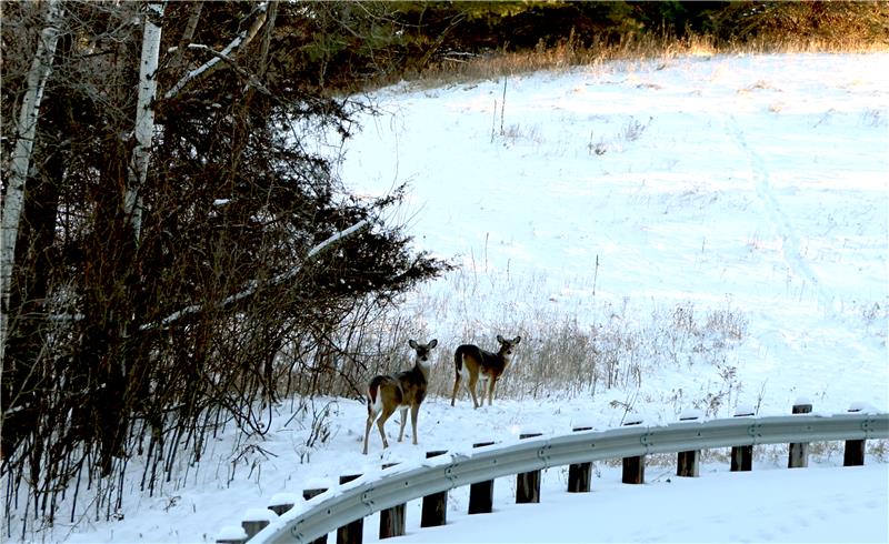 St Paul USACE tweet media