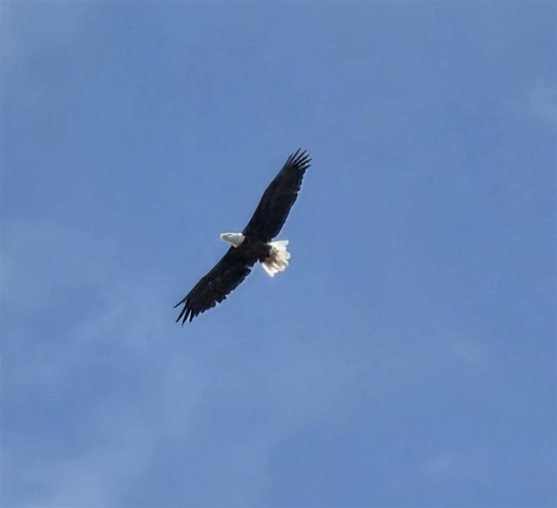 St Paul USACE tweet media