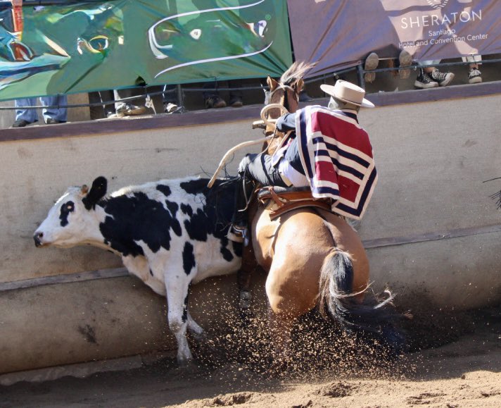 4 puntos buenos hoy el Presidente Electo, <a href="/joseantoniokast/">José Antonio Kast Rist 🖐️🇨🇱</a>! 💪🏻😎🇨🇱