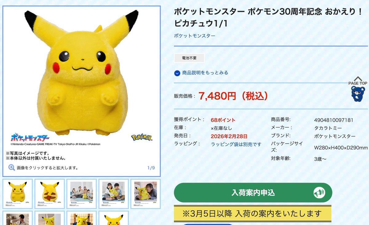 抽選】おかえり！ピカチュウ1/1は抽選となりました 3月お届け分を抽選