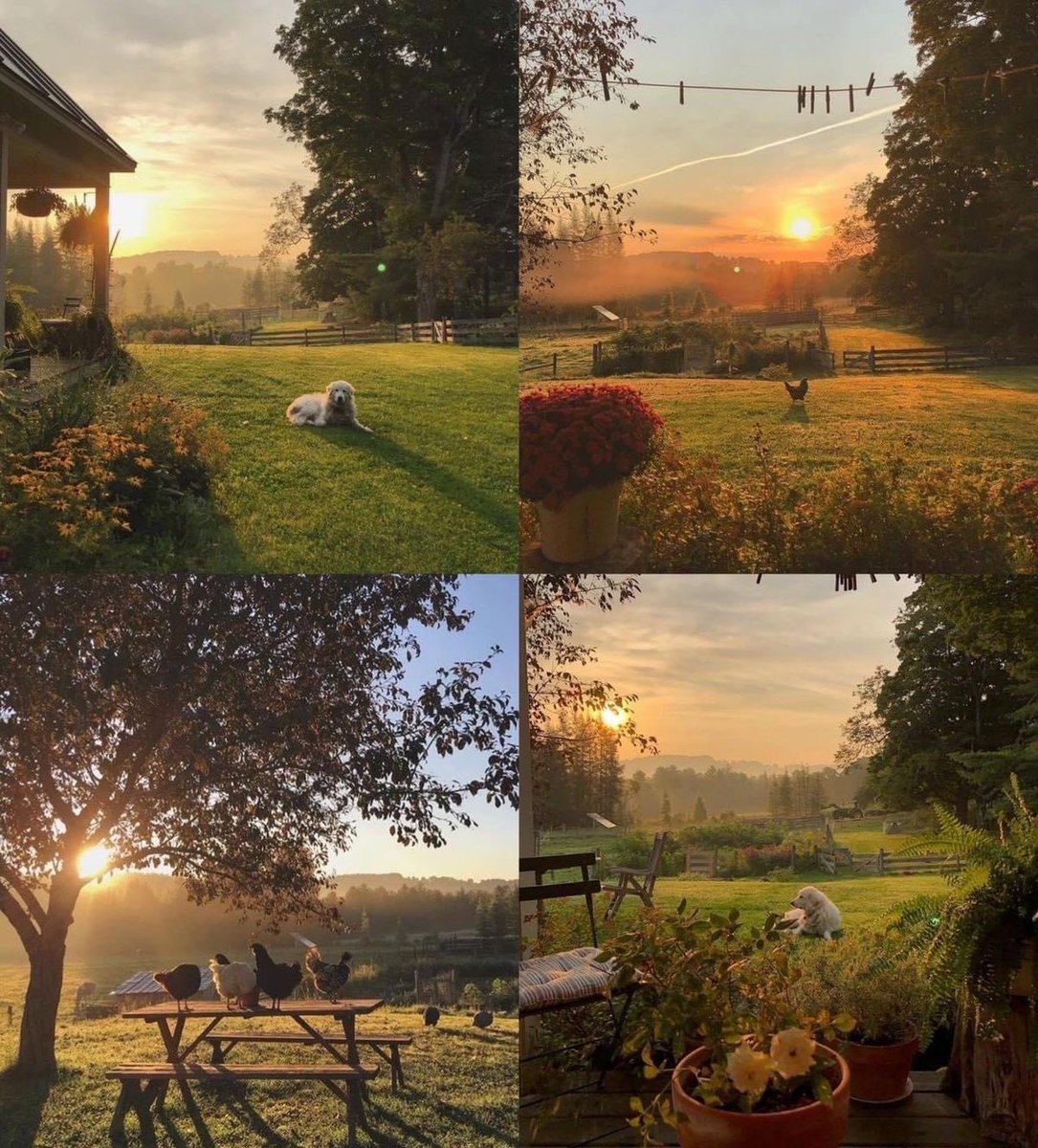 𝘤𝘢𝘣𝘪𝘯 𝘷𝘪𝘴𝘶𝘢𝘭𝘴 ❁࿐❁ tweet media