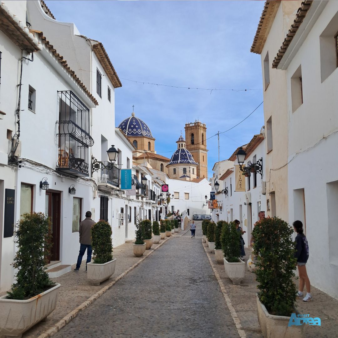 VisitAltea tweet media