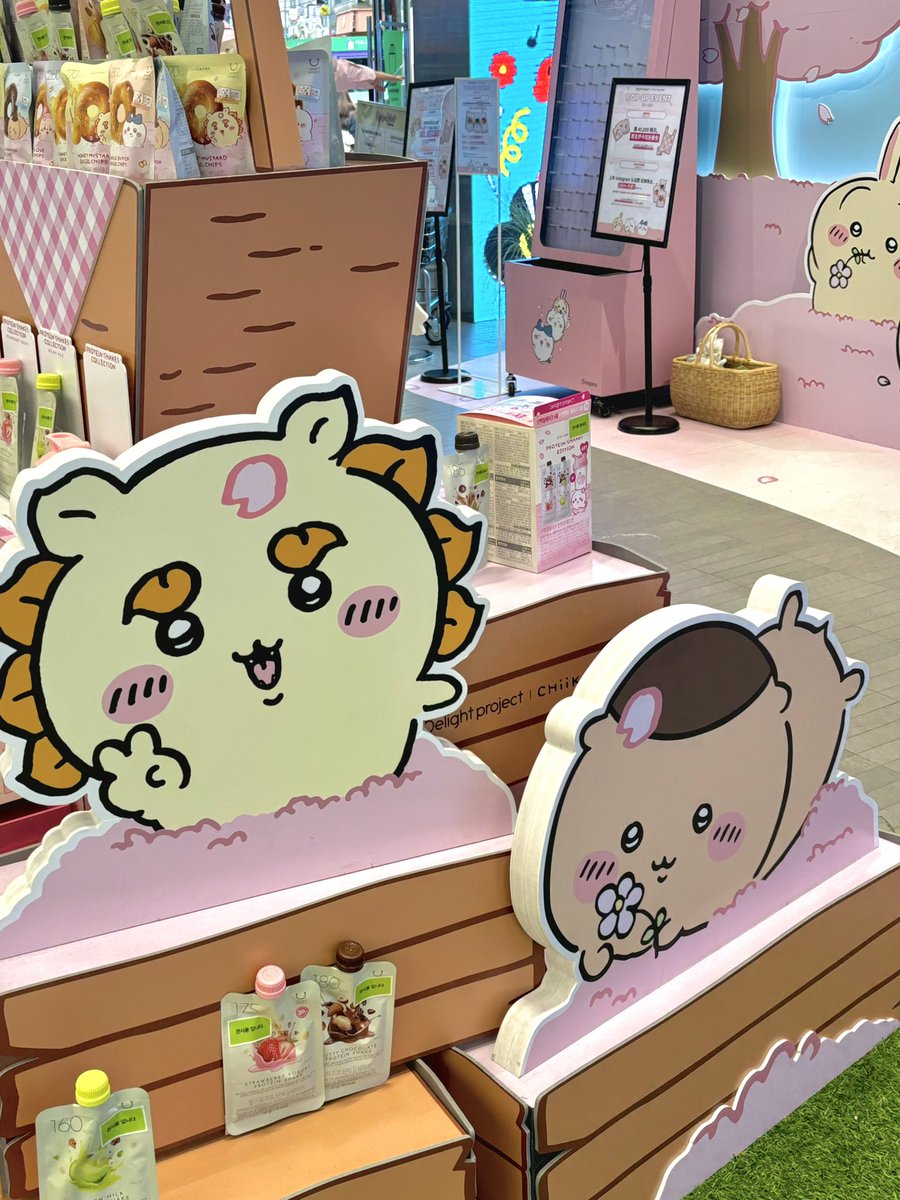 딜라이트 프로젝트 tweet media