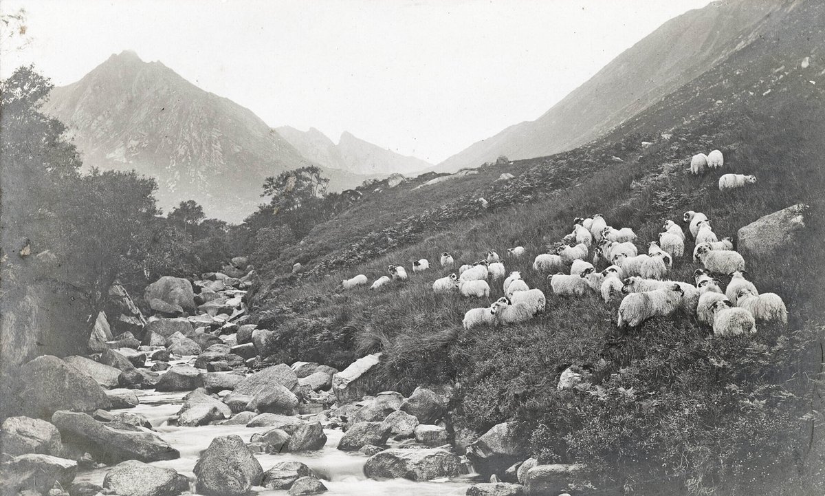 Am Baile - Highland History & Culture tweet media