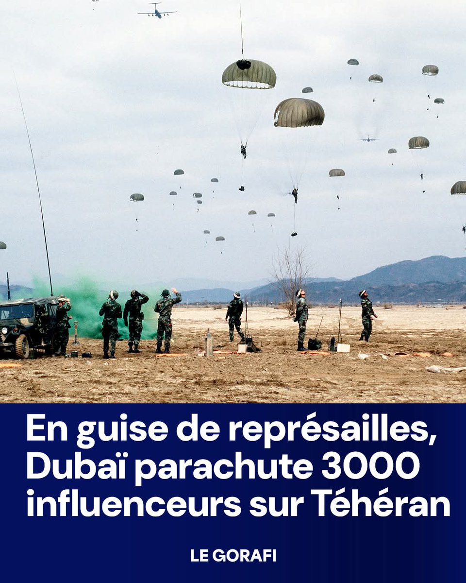 Scabieuse (@scabieuselily) on Twitter photo 