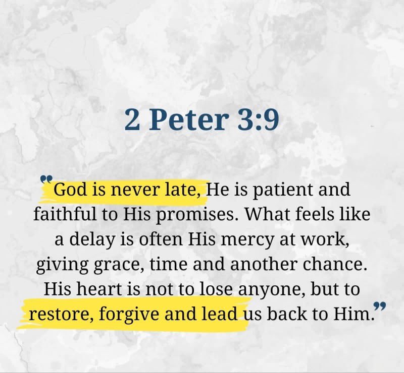 Holy Bible tweet media