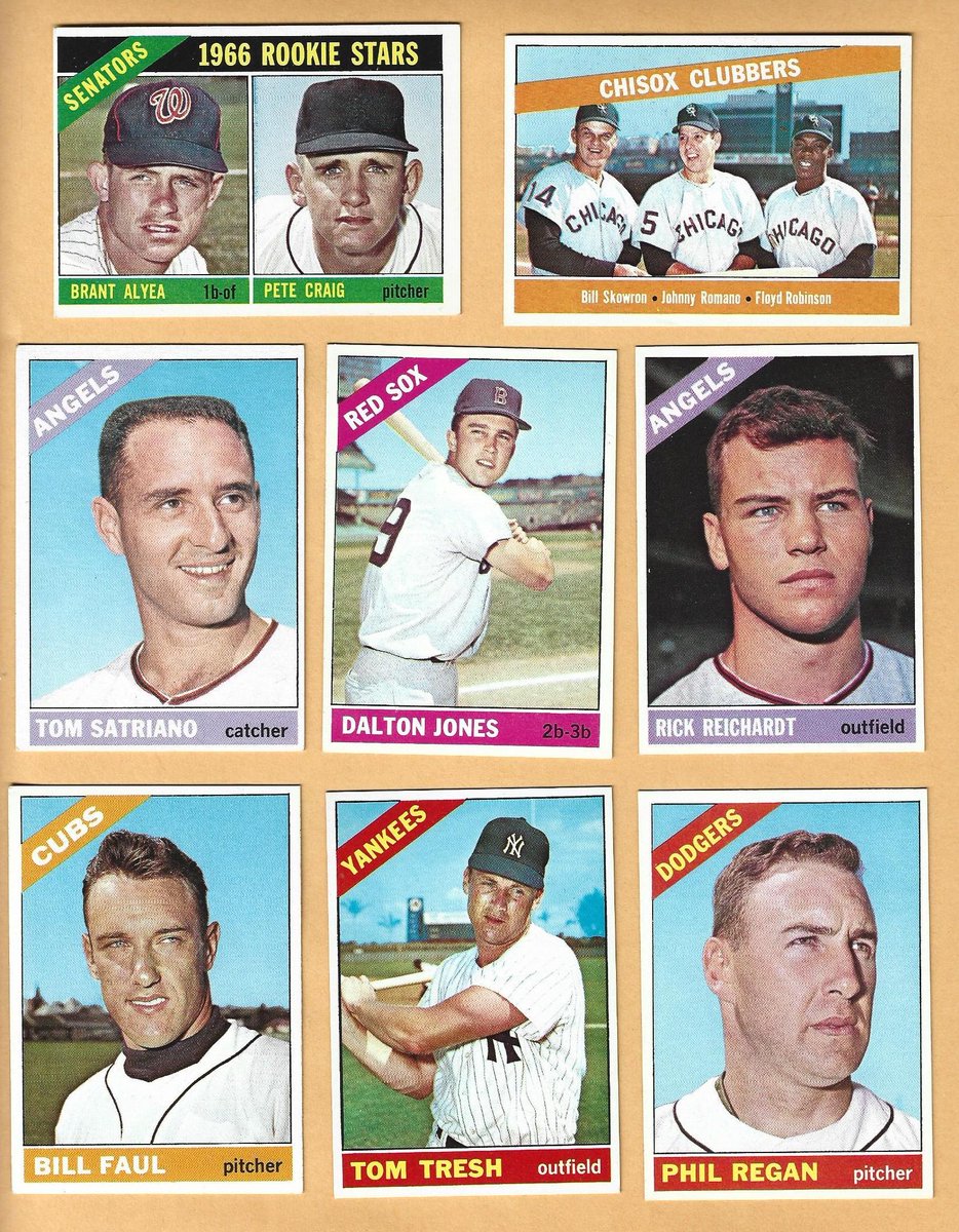 Timothy Poth tweet media