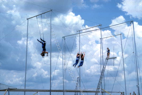 State Library of FL tweet media