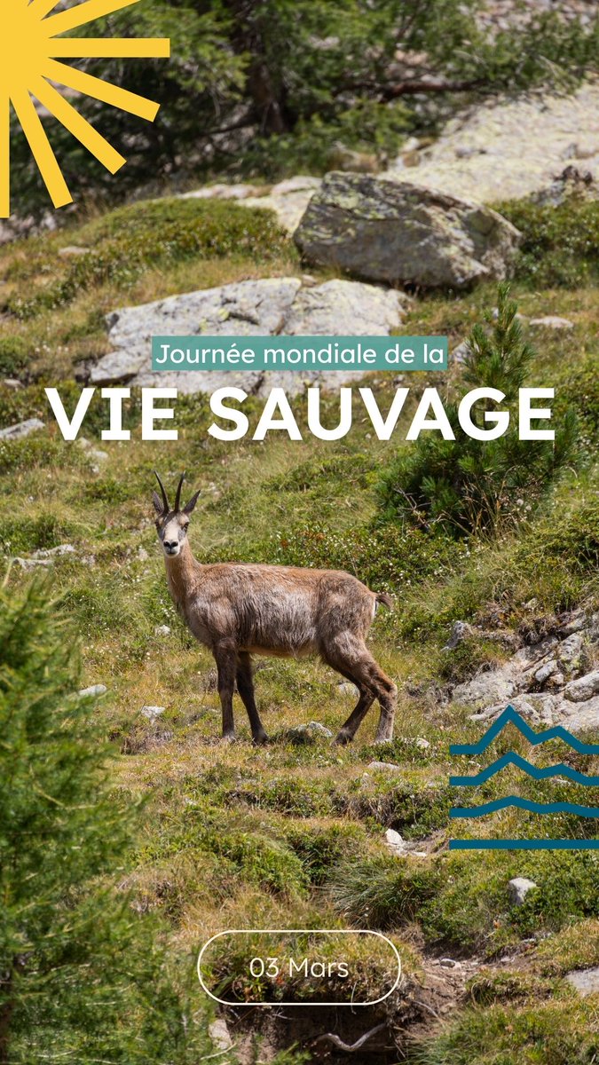 Explore Nice Côte d'Azur tweet media