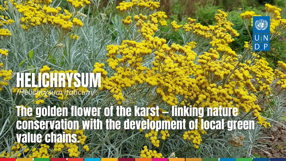 Renaud Meyer tweet media