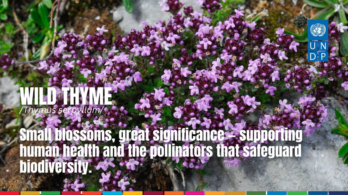 Renaud Meyer tweet media