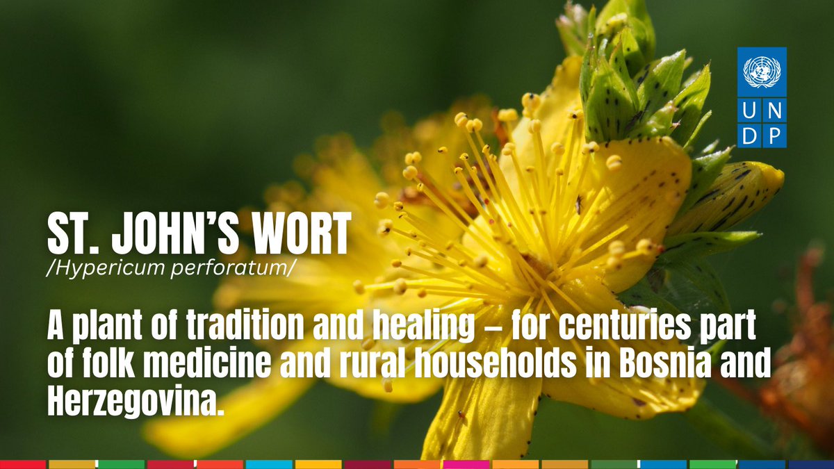 Renaud Meyer tweet media