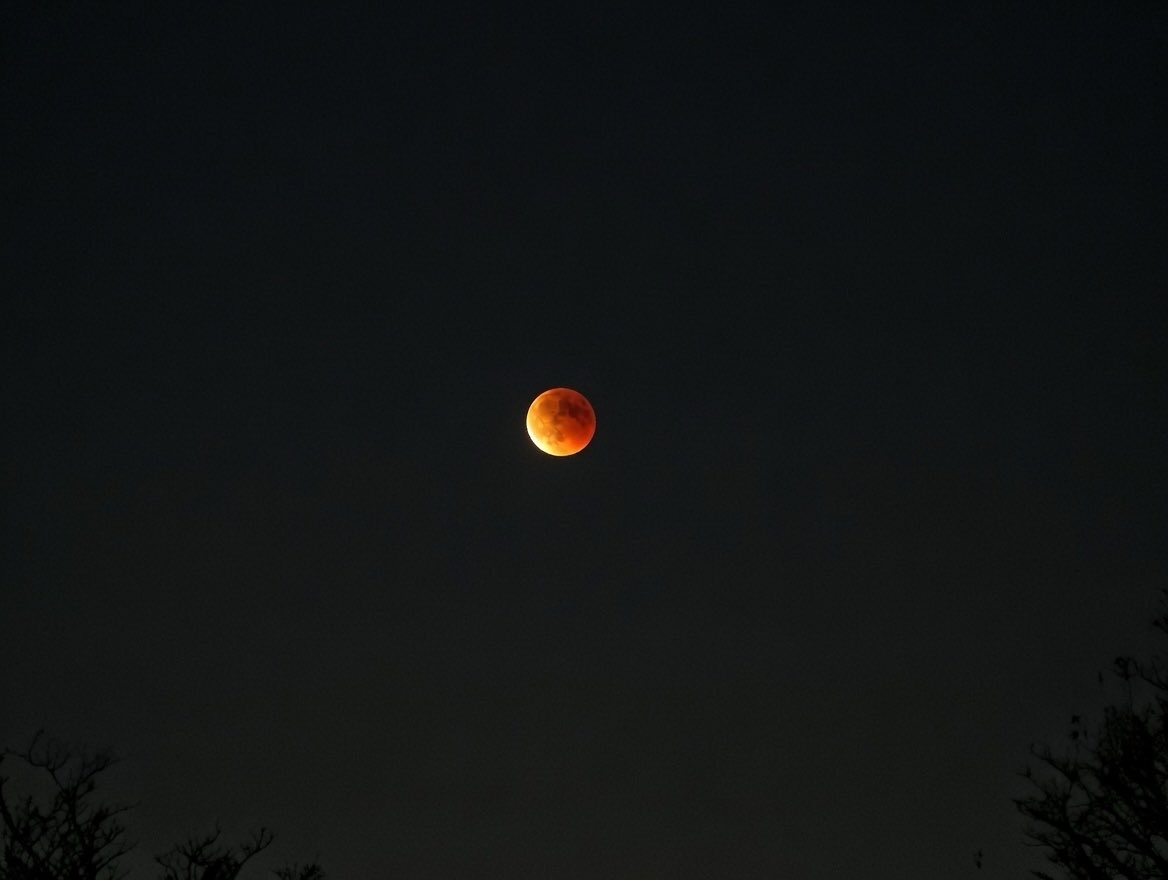 WrightCox3's tweet photo. #BloodMoon https://t.co/HpkQaAObS6
