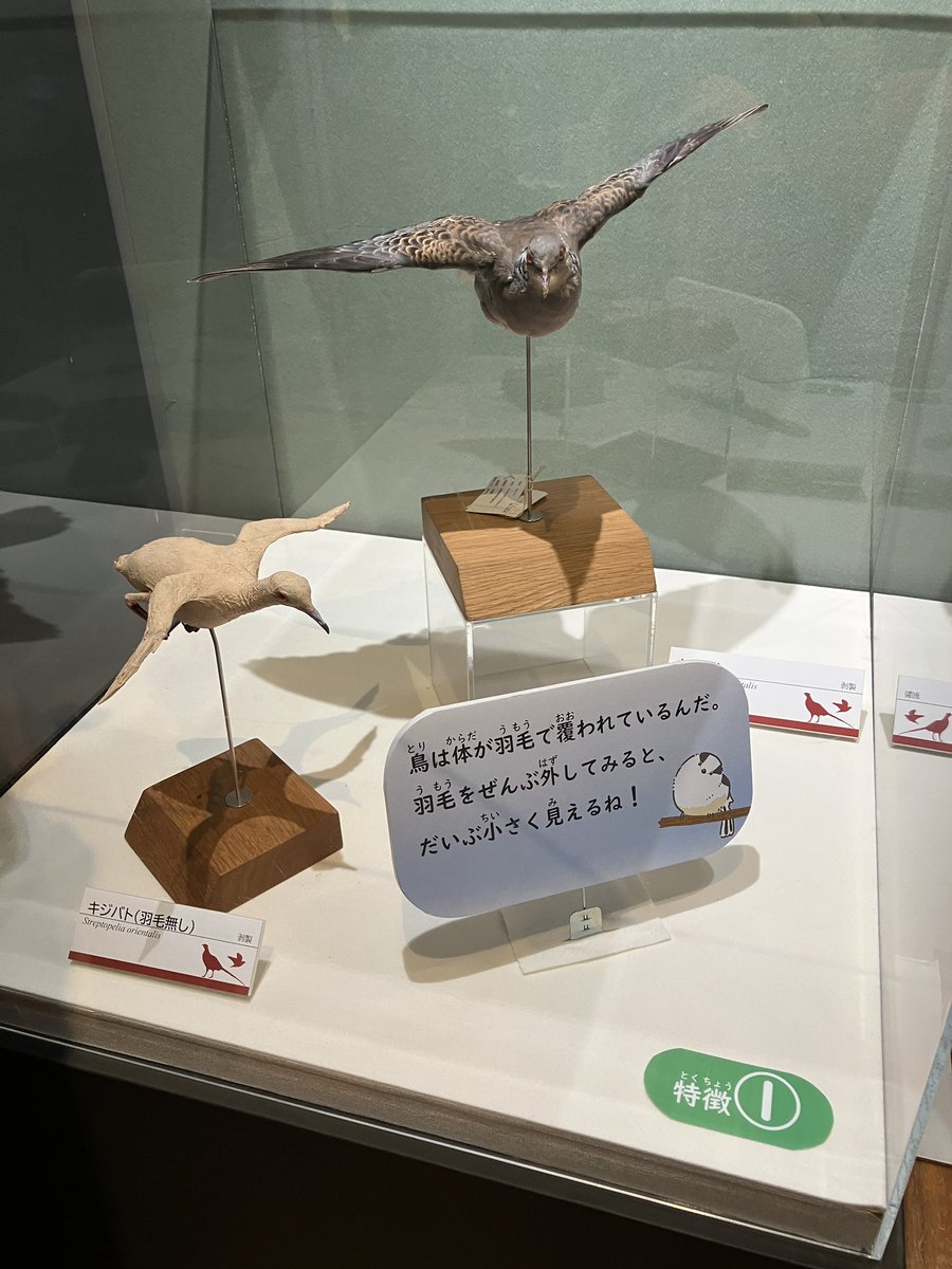 鐵獣 (@211_tetukemo) / Posts / X