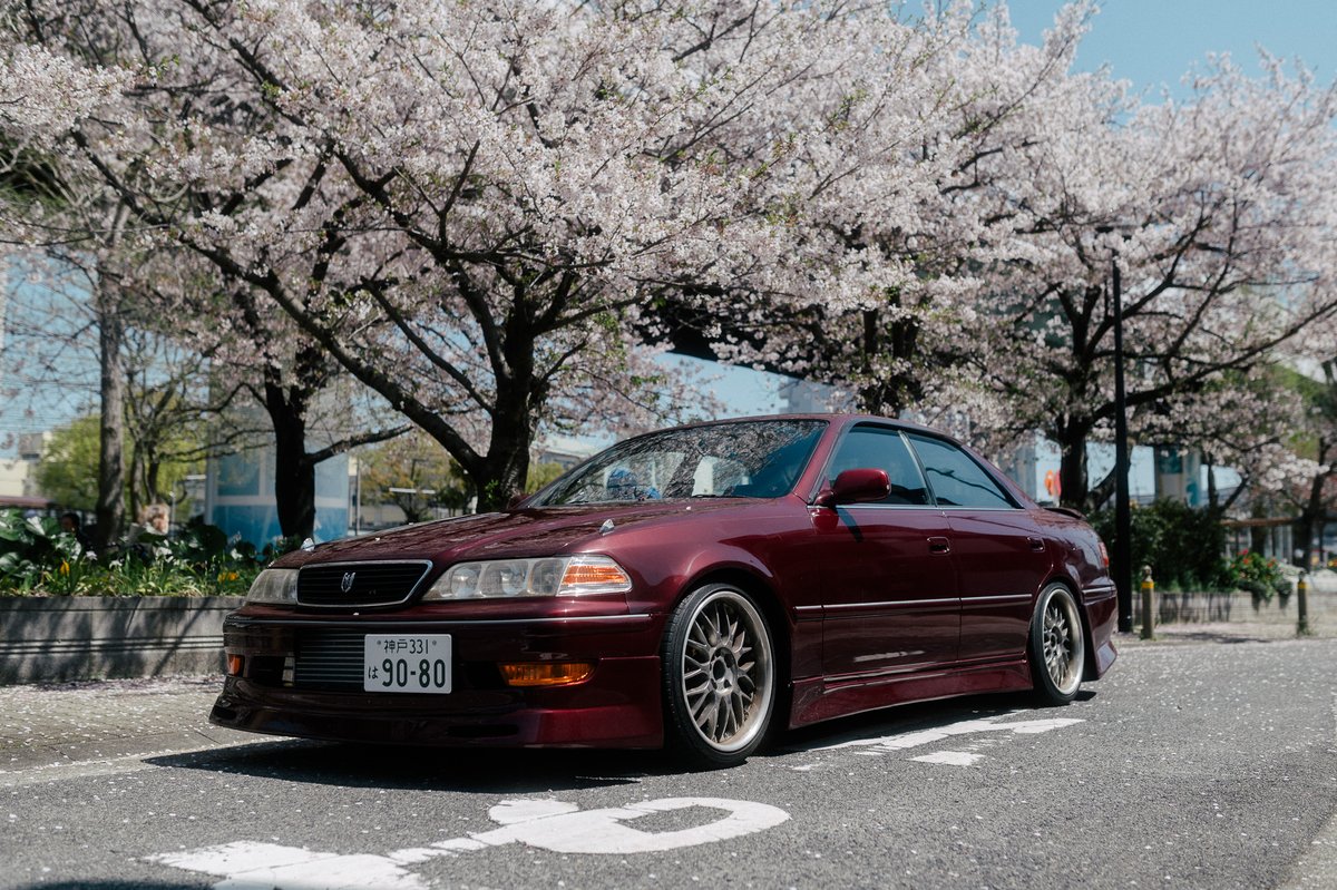 くーぱー🇦🇺 tweet media