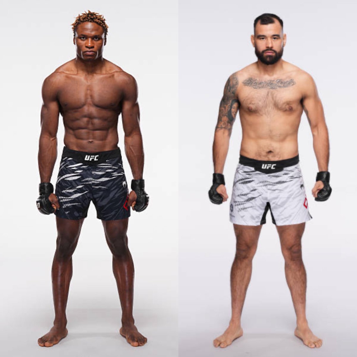 MMA Orbit tweet media