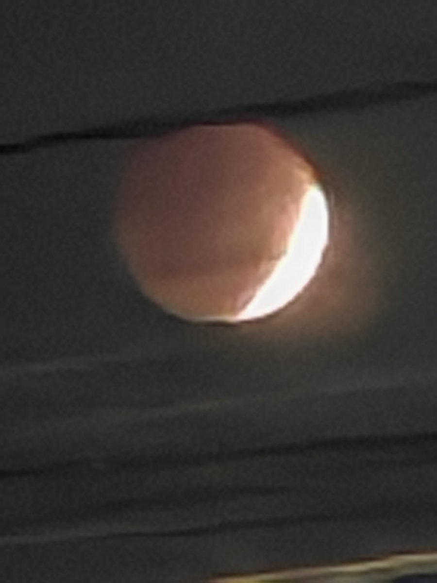 No Finger tweet media